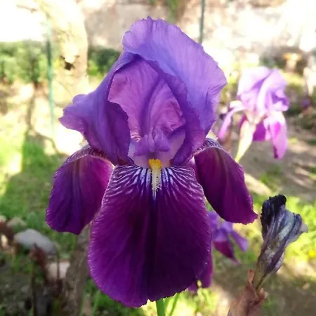 Homestay Artbnb Lezat-sur-Leze