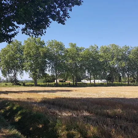 Privatunterkunft Artbnb