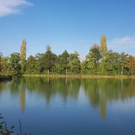 Artbnb * Lezat-sur-Leze