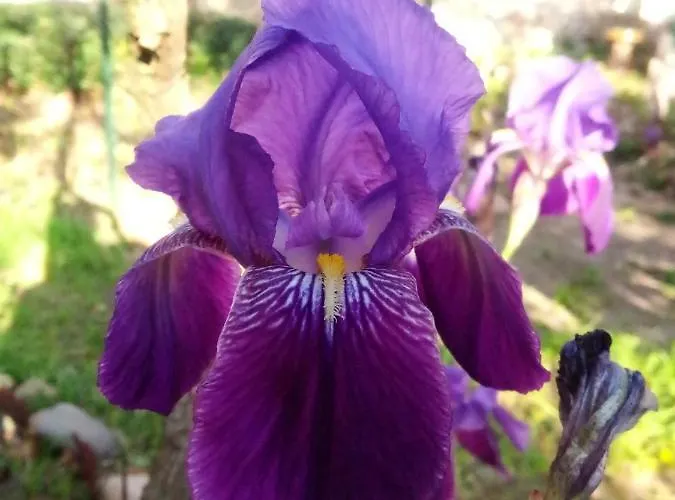 Privatunterkunft Artbnb Lezat-sur-Leze