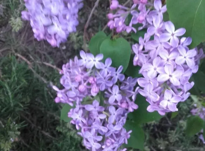 Privatunterkunft Artbnb *